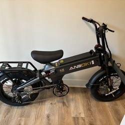 Electric Bike 