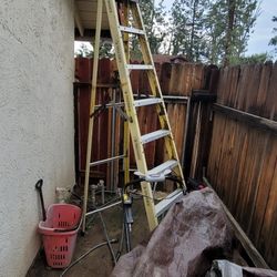 8ft ladder in excellent condition firm price 