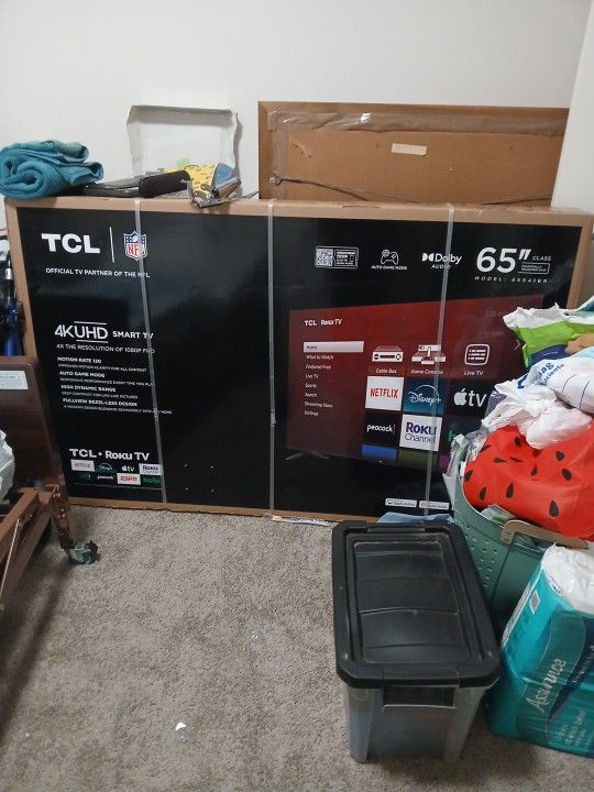 65 Inch Television