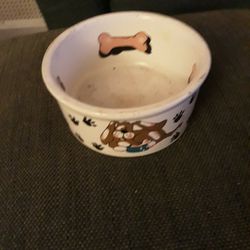 Doggie Bowl And Dog Collar And Accessories 