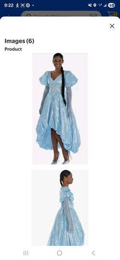 Cinderella adult Size Halloween Costume Small,  XLARGE