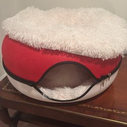 Cat Cave-Cattasaurus