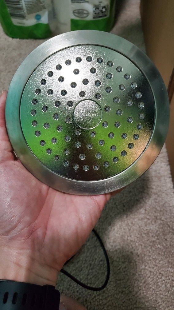 Kohler Forte Shower Head