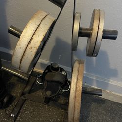 Gym Weight Plates