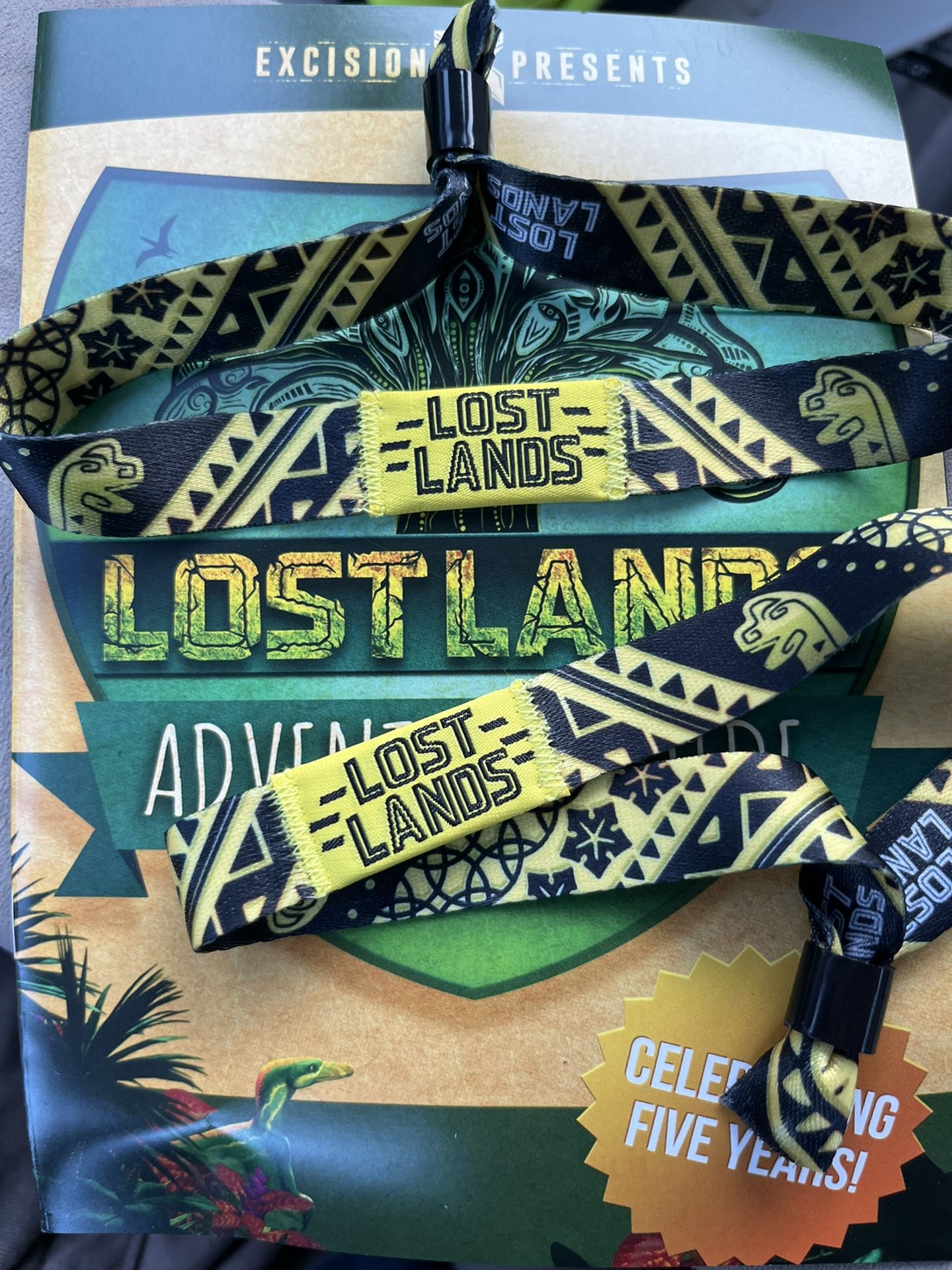 1 GA Lost Lands Wristband 