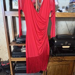 Latin Long Sleeve Fringe Dress 