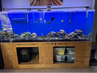 135 Gallon aquarium
