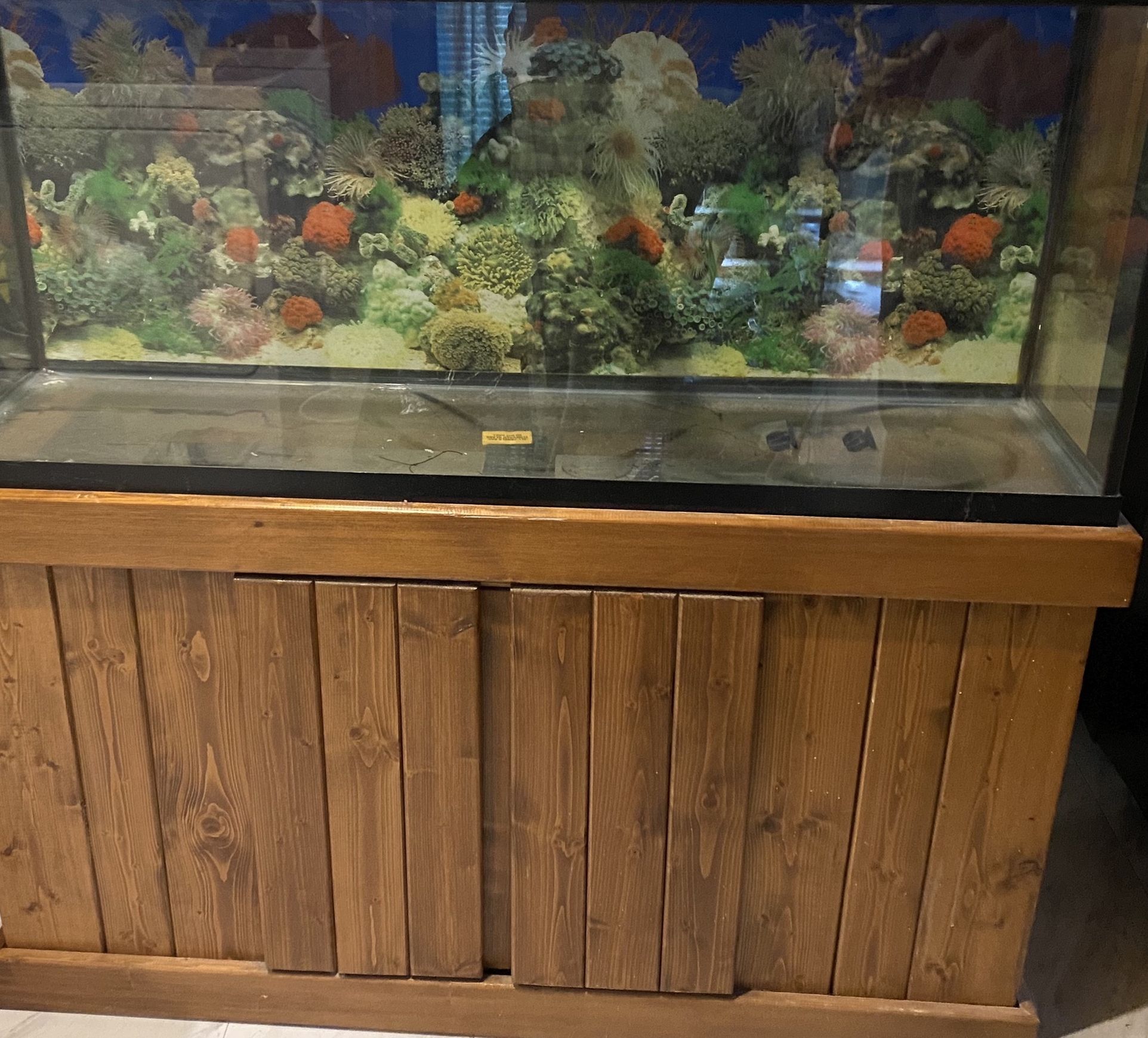 Fish Tank Aquarium