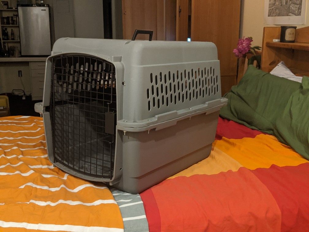 Pet carrier kennel