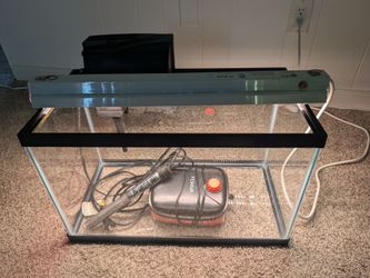 Fish tank