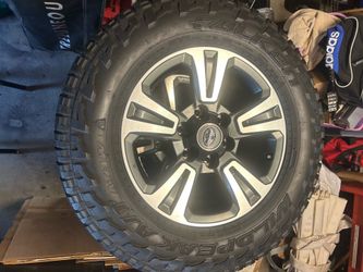 Falken wildpeak