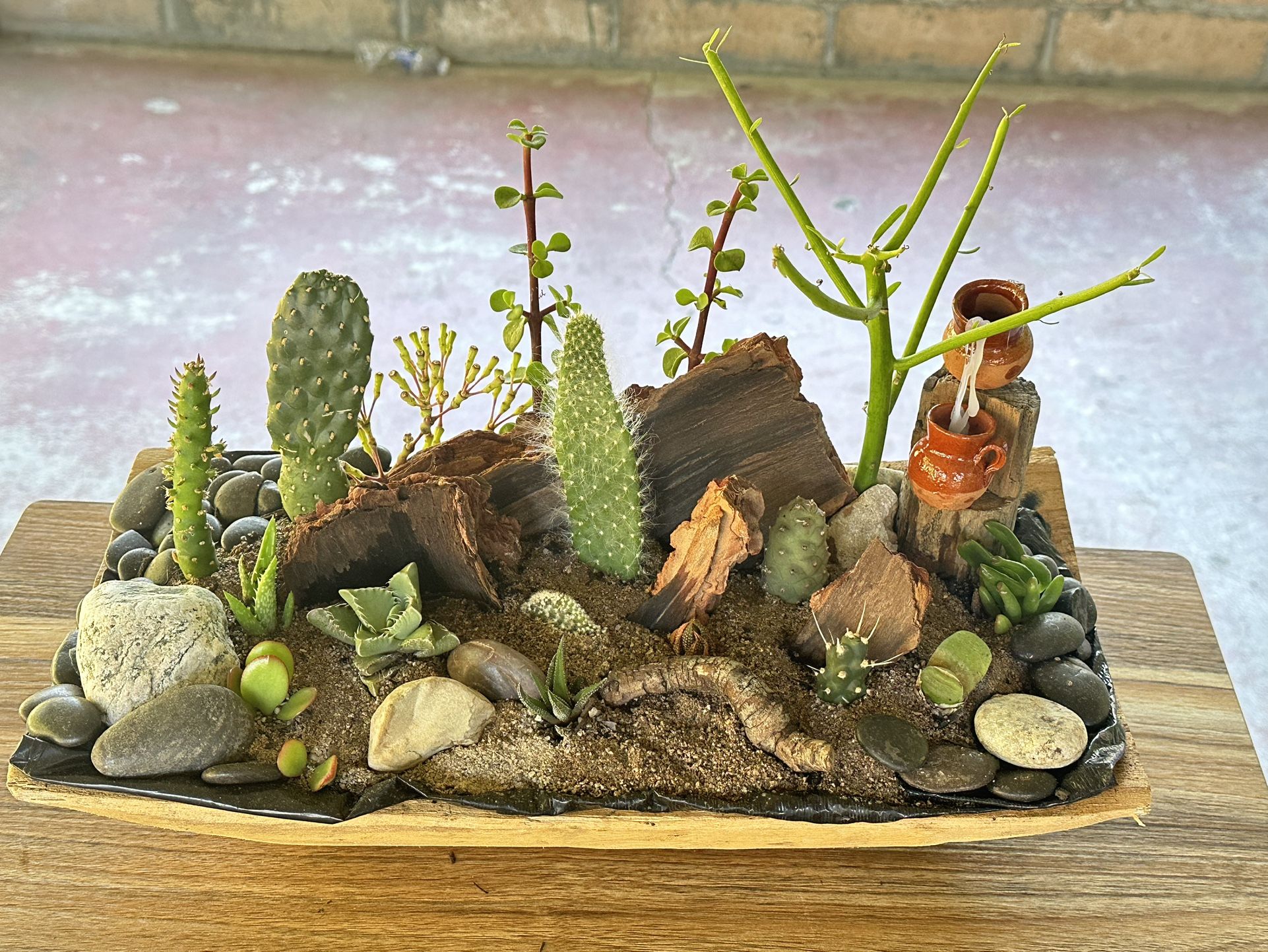 Succulent Arrangement