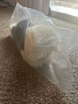 Puppy in bag new