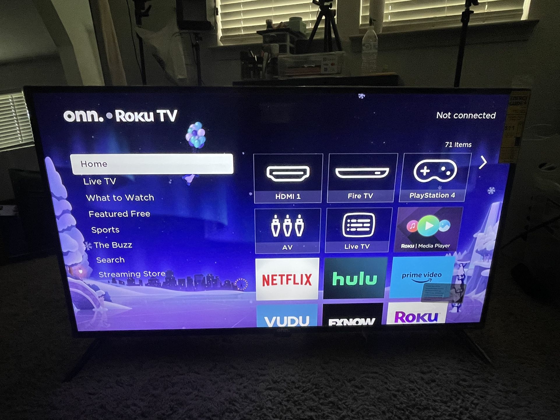 42 Inch Roku