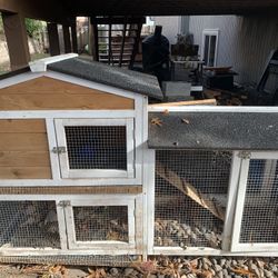 Chicken Coup 