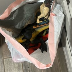 Bag Of Dinosaurs