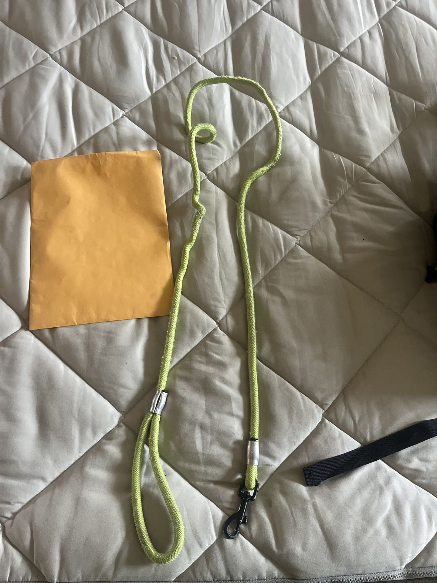 Lime Dog Leash