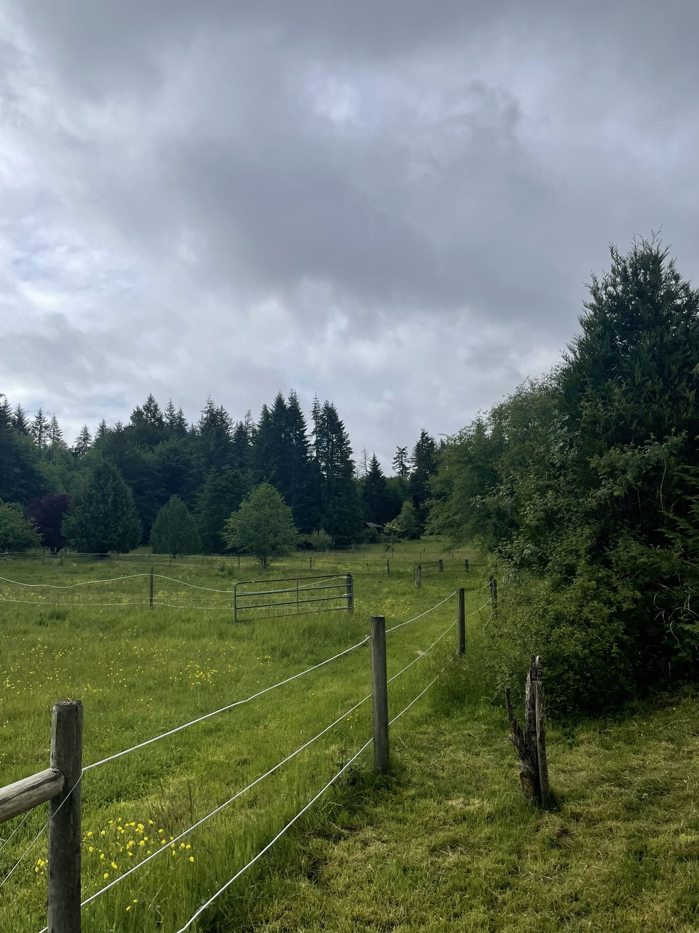 Horse Fencing