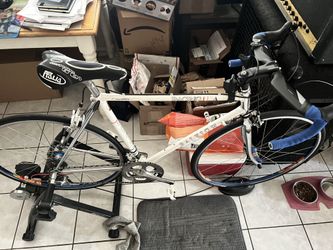 Steel frame Raleigh USA racing medium  OBO
