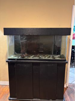 FREE! Glass Tank