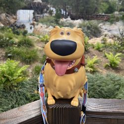 Doug pop corn souvenir