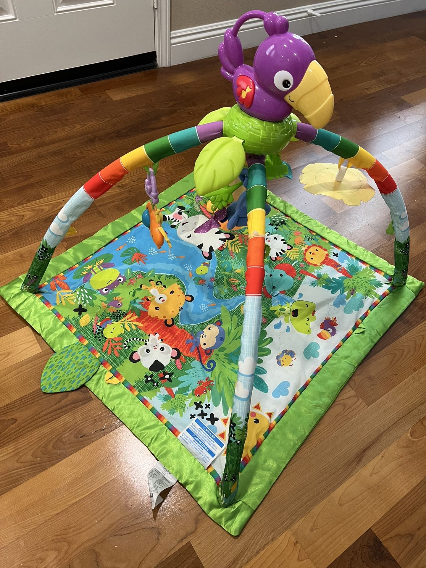 Fisher Price Rainforest Play Mat