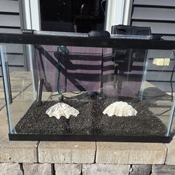 10 Gallon Fish Tank Aquarium 