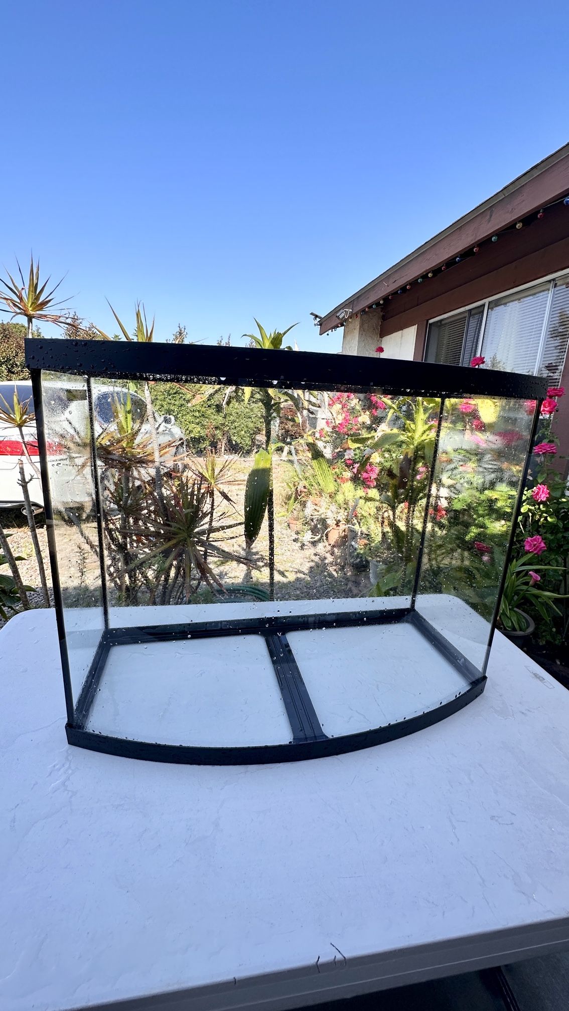 36 Gallon Bowfront Aquarium / Fish Tank and Sturdy Stand for Sale in