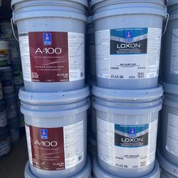 Pintura Y Material Para Pintores PAINT 