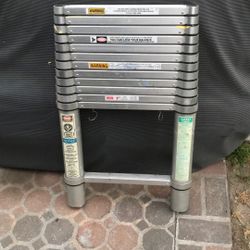 Telescoping Extension Ladder
