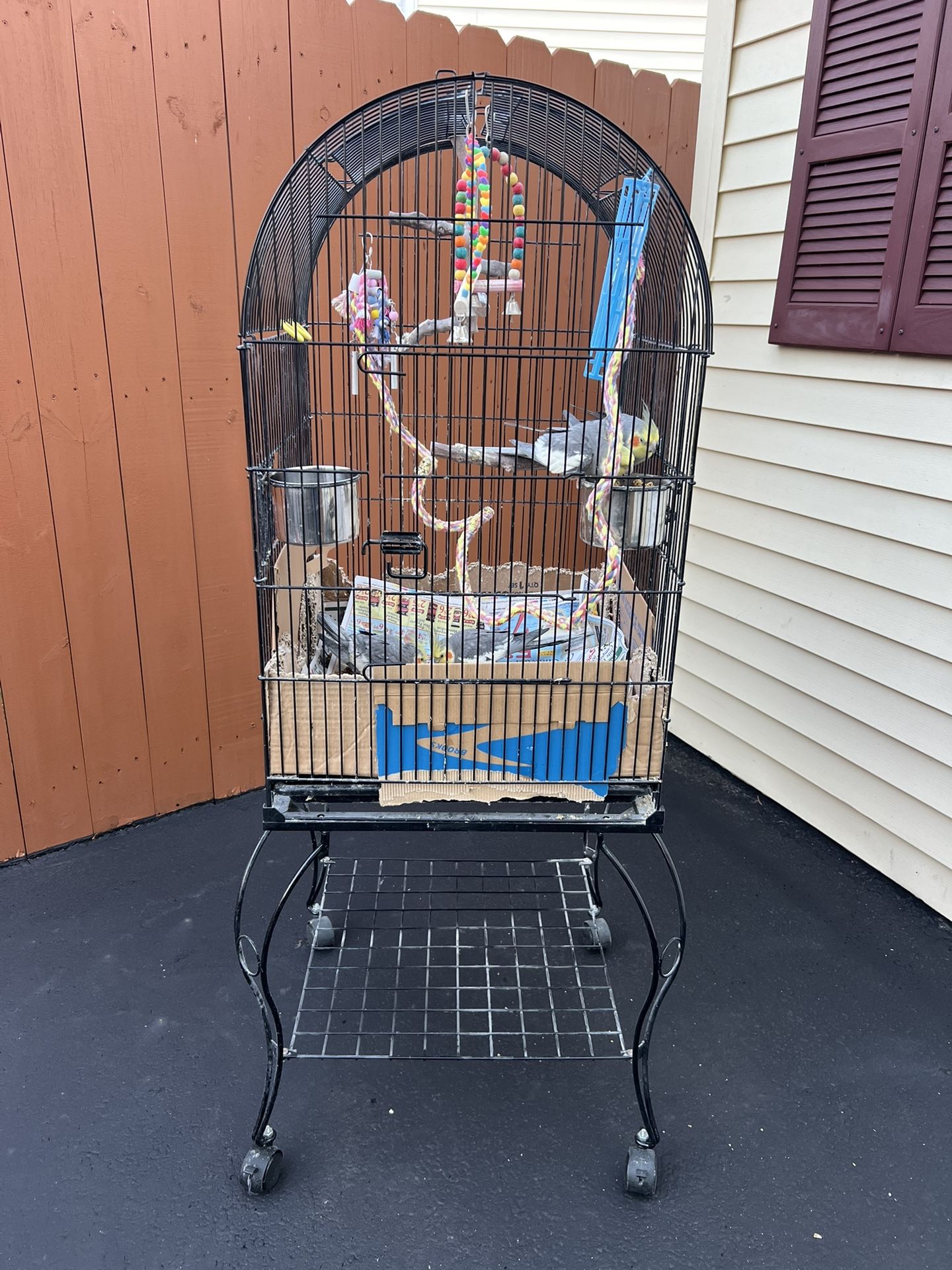 Cage For Cockatiels