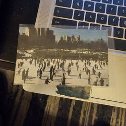 Wollman Memorial Skating Rink 1954 Postcard