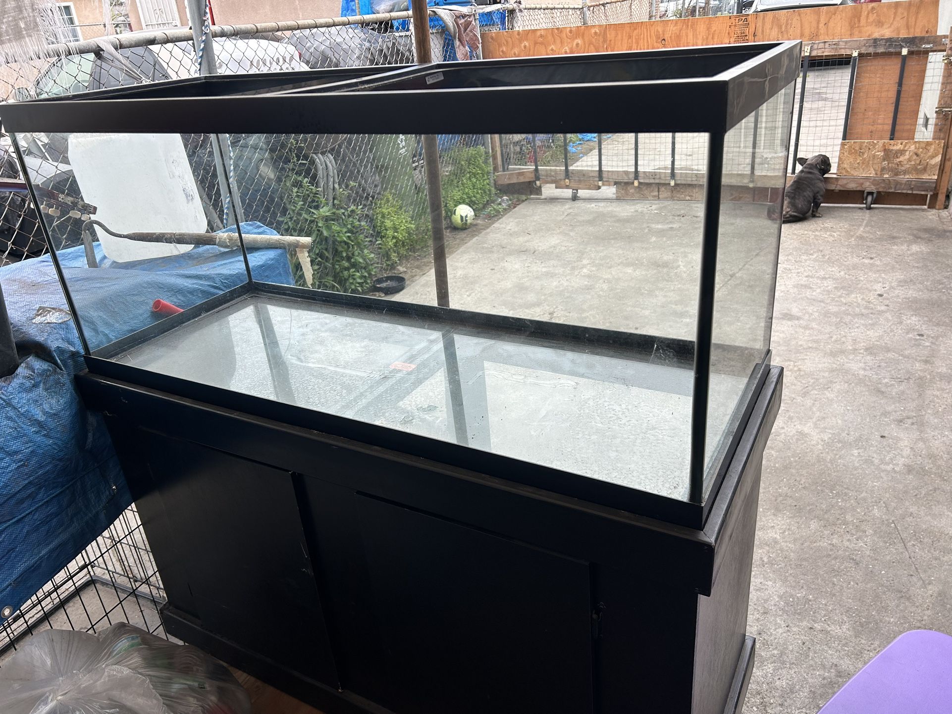 Fish Tank