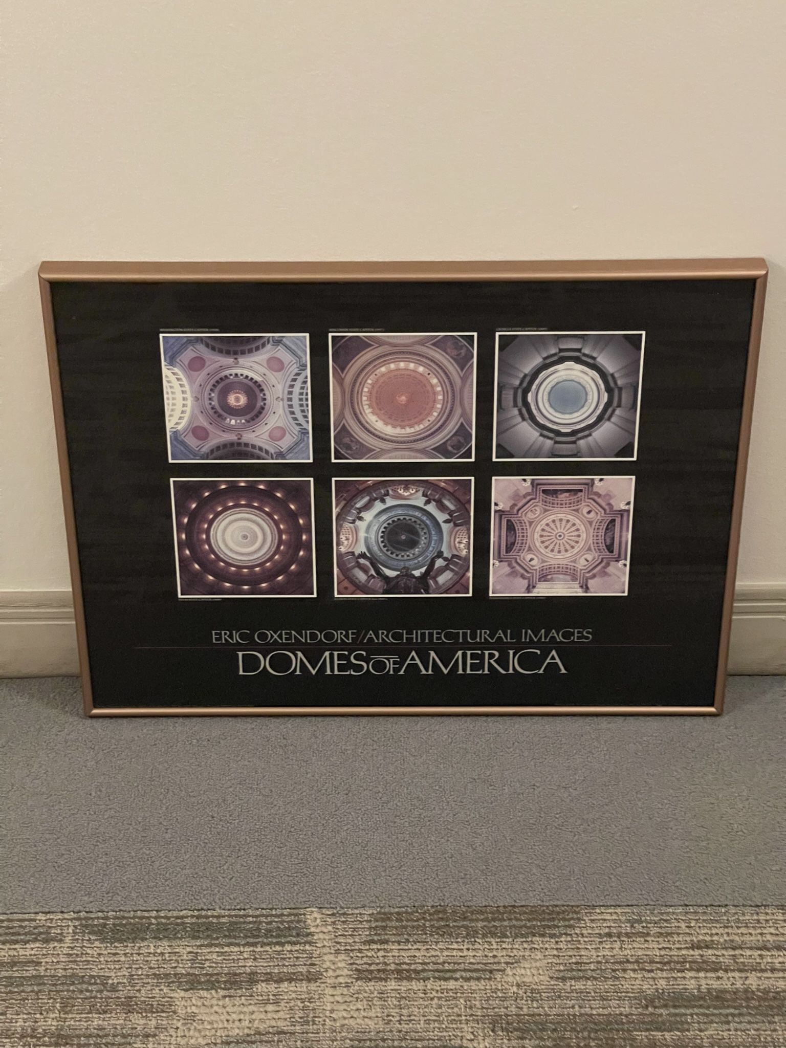 Mid-Size Framed Poster - DOMES of AMERICA - posted price is firm.