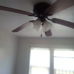 New Ceiling Fan 