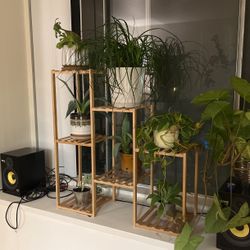 Plant Bamboo shelf 