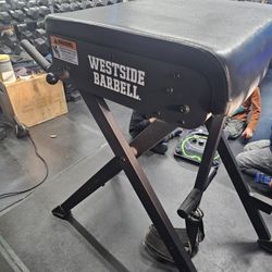 Rogue Westside Barbell Reverse Hyper 