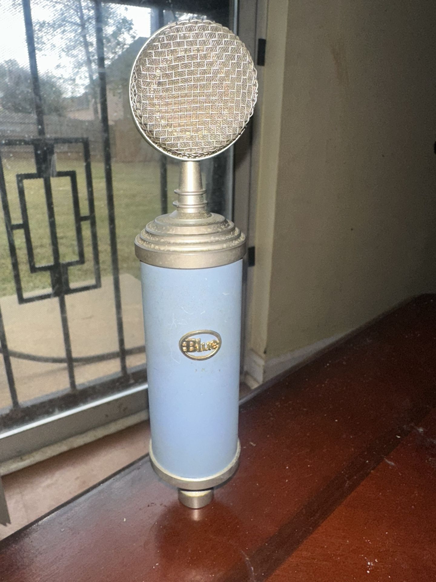 BlueBird Microphone