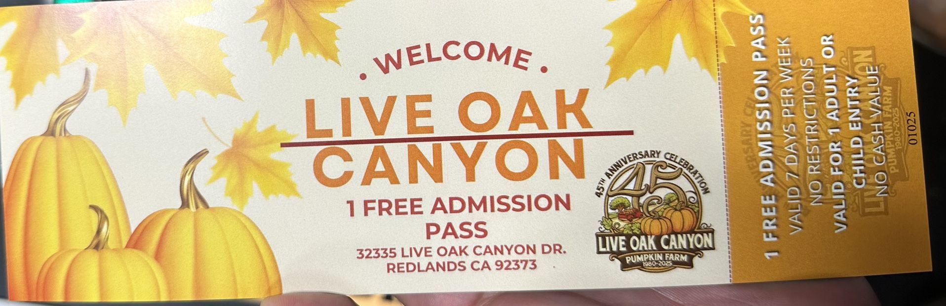 Live Canyon Pumpkin Patch