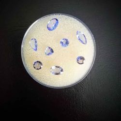 Natural Blue & Purple Tanzanite Gemstone 💎