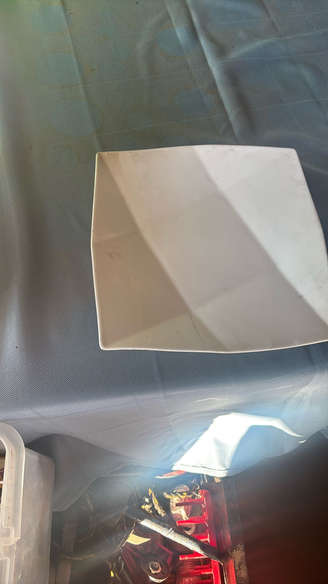 Pacific land dinner plates white 12” x 12”