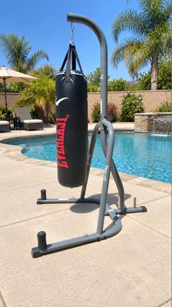 Everlast punching bag and stand
