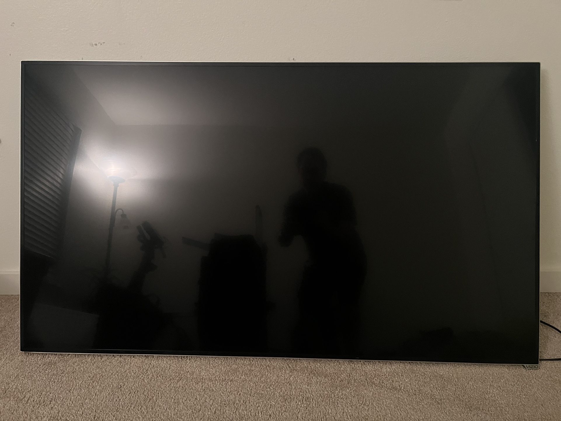 Free: 65 Inch TV With Beautiful Sofa, Matching Plush Chair & two 5.5 ft Artificial Trees