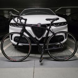 17.8 lb. All-Carbon Trek Domane SLR 6 Racing Bike 