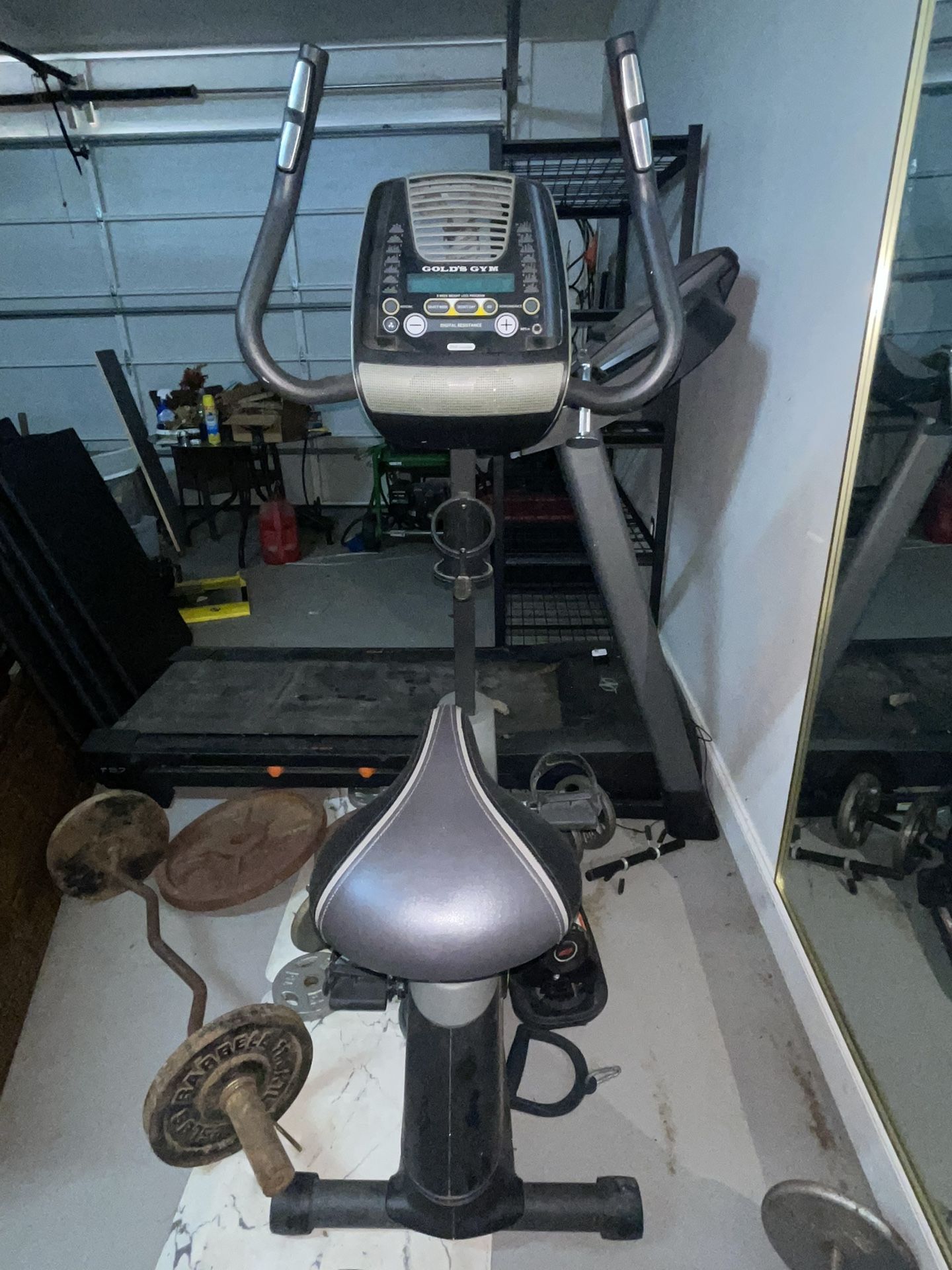 Golds Gym Exercise Bike