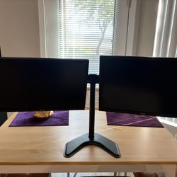 Dual monitor Setup (monitors&stand)