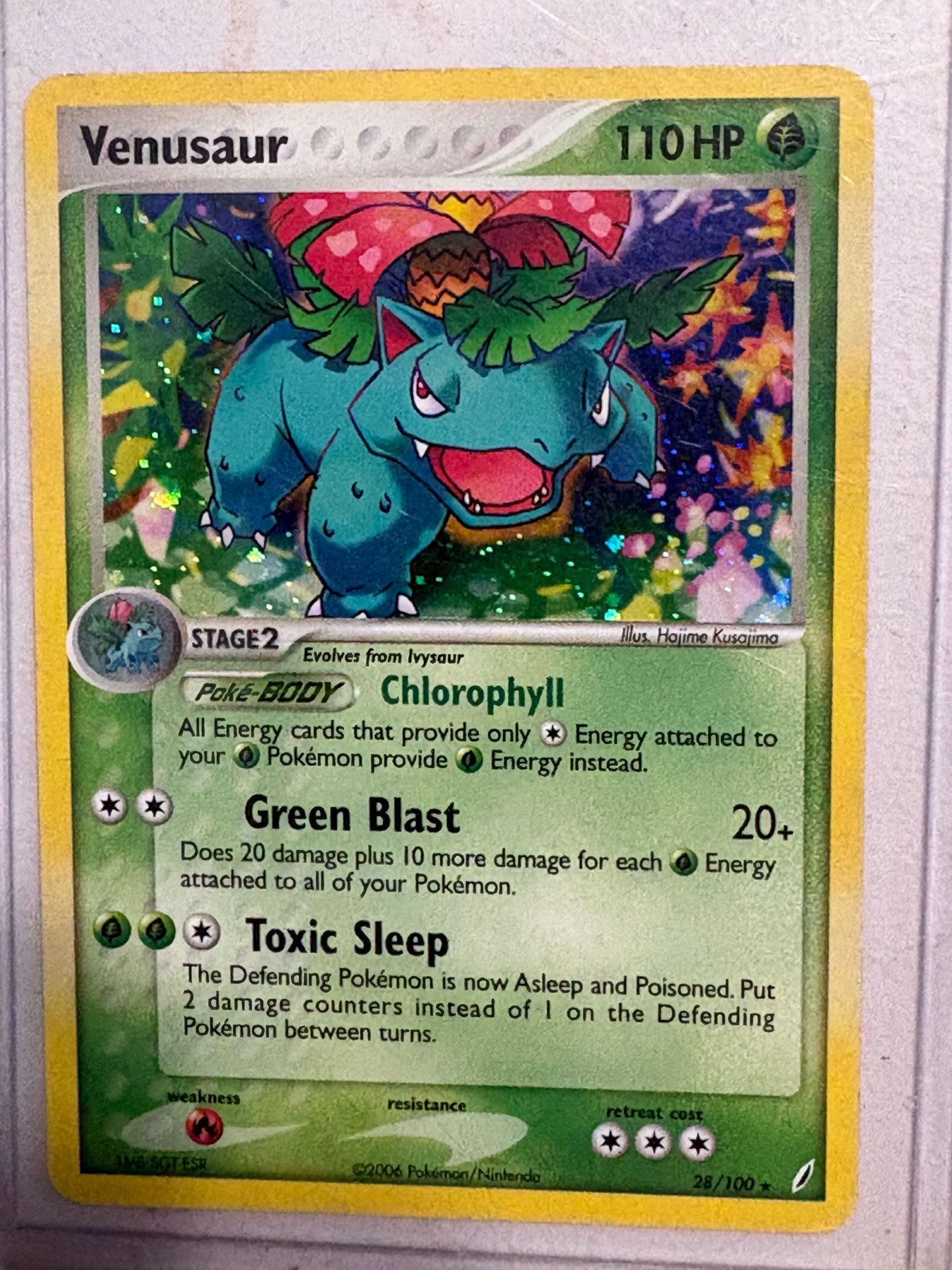 Venasaur 2006 holo pokemon card