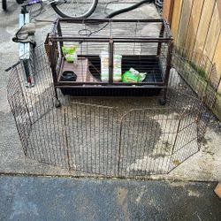 Guinea Pig Cage 