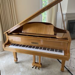 Baby Grand Piano 