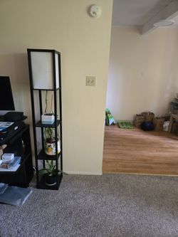 Book Shelf with lamp